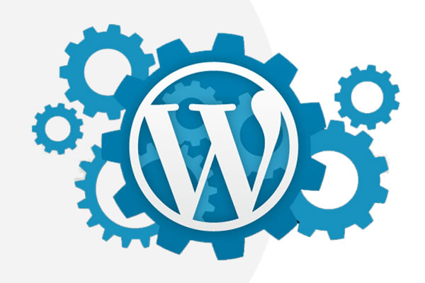 What is the Fuss About WordPress